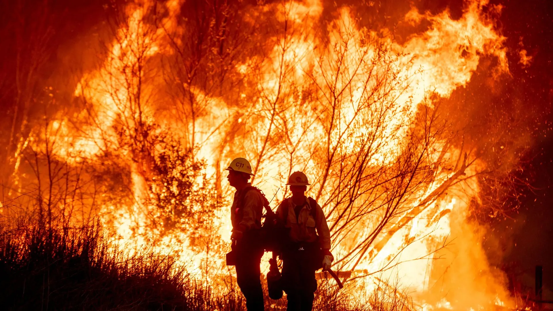 State of Emergency Declared as Wildfires Devastate South Korea