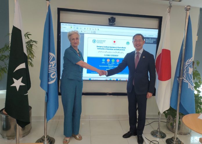 Japan-Funded FAO Project Revives Farming in Flood-Hit Pakistan