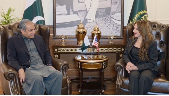 U.S. Acting Ambassador Meets Mohsin Naqvi, Discusses Regional Peace